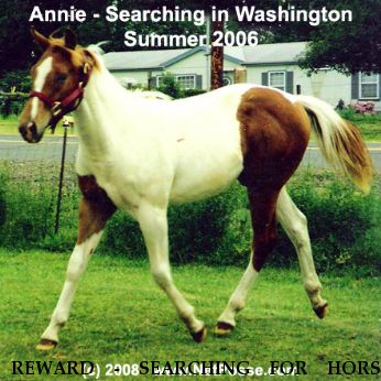 REWARD - SEARCHING FOR HORSE ANNIE, Near Battle Ground , WA, 98682